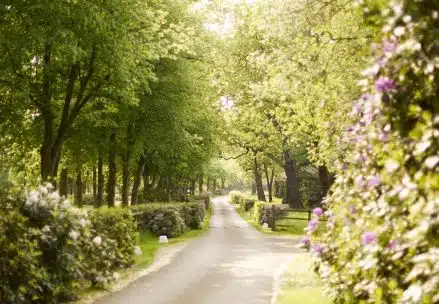 Hedsor House Beautiful Grounds