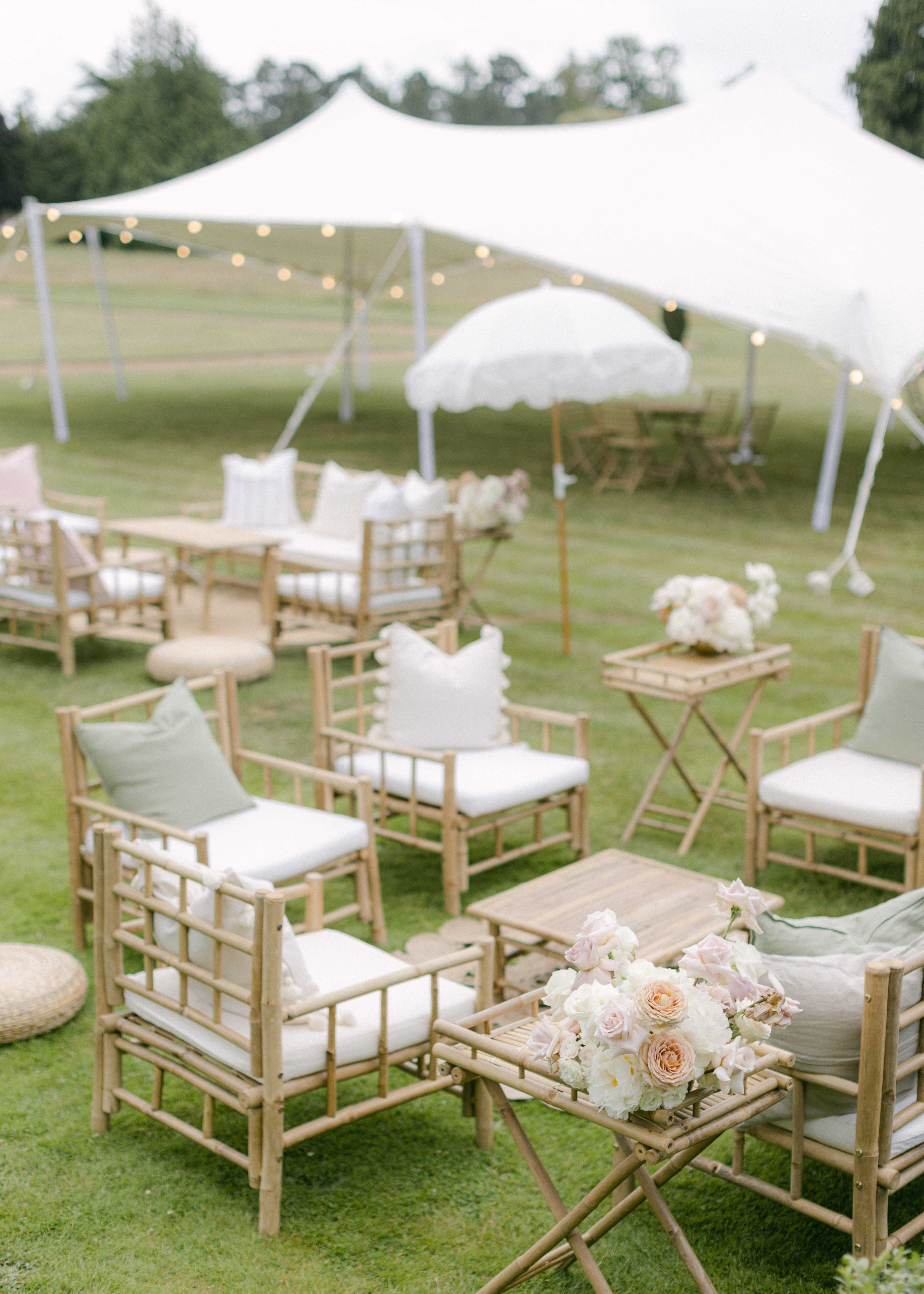 The lawn set with furniture for casual BBQs or farewell brunches